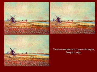 Creio no mundo como num malmequer, Porque o vejo.  