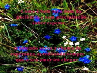 27/06/10 Como é bom ter o dom da paciência e sem precipitação saber esperar... mantendo acesa a chama da esperança,acreditando sempre que o seu amor irá chegar. 