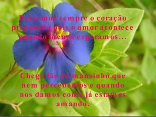 27/06/10 Deixemos sempre o coração preparado pois o amor acontece quando menos esperamos... Chega tão de mansinho que nem percebemos e quando nos damos conta já estamos amando. 