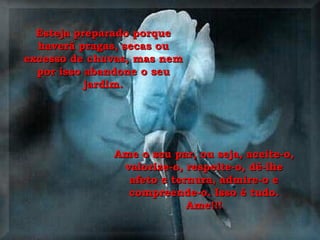 Esteja preparado porque haverá pragas, secas ou excesso de chuvas, mas nem por isso abandone o seu jardim. Ame o seu par, ou seja, aceite-o, valorize-o, respeite-o, dê-lhe afeto e ternura, admire-o e compreende-o. Isso é tudo. Ame!!! 