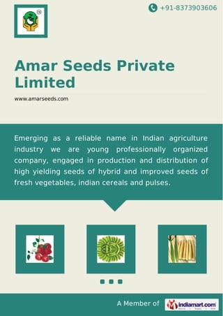+91-8373903606
A Member of
Amar Seeds Private
Limited
www.amarseeds.com
Emerging as a reliable name in Indian agriculture
industry we are young professionally organized
company, engaged in production and distribution of
high yielding seeds of hybrid and improved seeds of
fresh vegetables, indian cereals and pulses.
 