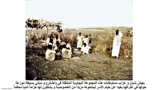 Sensitivity: Internal
‫في‬ ‫المتنقلة‬ ‫البجاوية‬ ‫المجموعة‬ ‫هذه‬ ‫مستوطنات‬ ‫عزاب‬ ‫و‬ ‫شبان‬ ‫يعيش‬
(
‫عشش‬
)
‫موز‬ ‫بسيطة‬ ‫مباني‬ ‫و‬
‫عة‬
ً‫ا‬‫أمني‬ ً‫ا‬‫حزام‬ ‫لها‬ ‫يشكلون‬ ‫و‬ ‫الخصوصية‬ ‫من‬ ‫مزيدا‬ ‫ليمنحوها‬ ‫األسر‬ ‫خيام‬ ‫عن‬ ‫بعيدا‬ ‫أطرافها‬ ‫في‬ ‫حولها‬
ً‫ا‬‫محكم‬
 