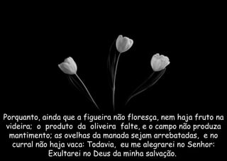 Porquanto, ainda que a figueira não floresça, nem haja fruto na videira;  o  produto  da  oliveira  falte, e o campo não produza mantimento; as ovelhas da manada sejam arrebatadas,  e no curral não haja vaca: Todavia,  eu me alegrarei no Senhor: Exultarei no Deus da minha salvação.  