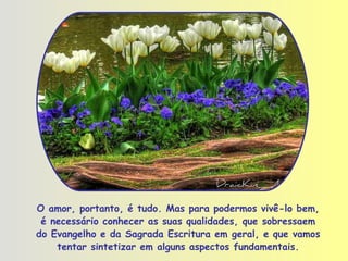 O amor, portanto, é tudo. Mas para podermos vivê-lo bem, é necessário conhecer as suas qualidades, que sobressaem do Evangelho e da Sagrada Escritura em geral, e que vamos tentar sintetizar em alguns aspectos fundamentais. 