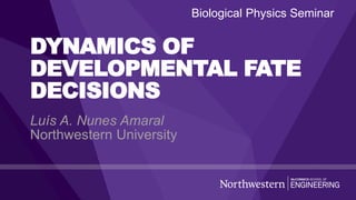 DYNAMICS OF
DEVELOPMENTAL FATE
DECISIONS
Luís A. Nunes Amaral
Northwestern University
Biological Physics Seminar
 