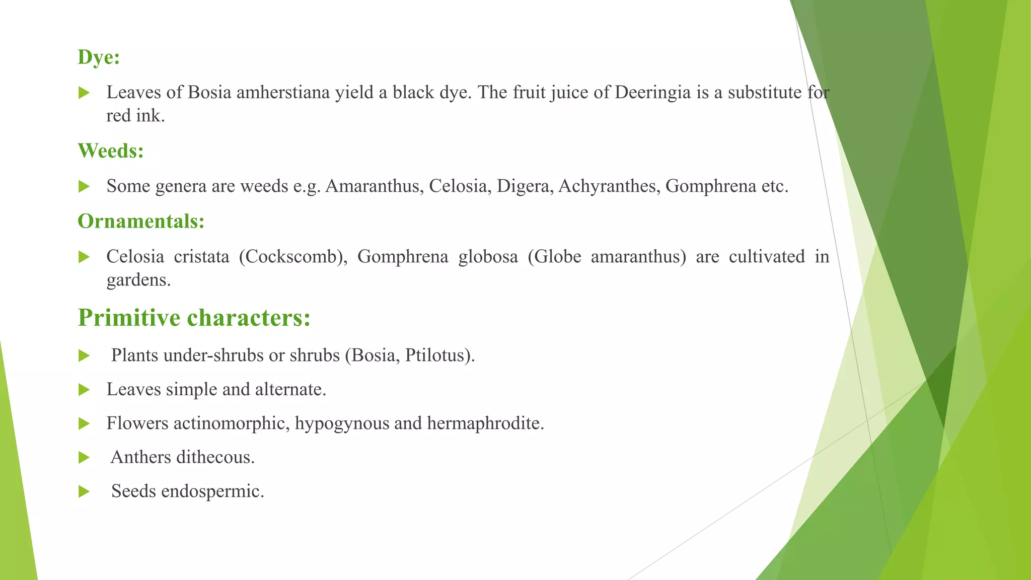 Dye:
 Leaves of Bosia amherstiana yield a black dye. The fruit juice of Deeringia is a substitute for
red ink.
Weeds:
 Some genera are weeds e.g. Amaranthus, Celosia, Digera, Achyranthes, Gomphrena etc.
Ornamentals:
 Celosia cristata (Cockscomb), Gomphrena globosa (Globe amaranthus) are cultivated in
gardens.
Primitive characters:
 Plants under-shrubs or shrubs (Bosia, Ptilotus).
 Leaves simple and alternate.
 Flowers actinomorphic, hypogynous and hermaphrodite.
 Anthers dithecous.
 Seeds endospermic.
 