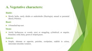 A. Vegetative characters:
Habit:
 Mostly herbs, rarely shrubs or undershrubs (Deeringia), annual or perennial
(Bosia, Ptilotus).
Root:
 A branched tap root.
Stem:
 Aerial, herbaceous or woody, erect or straggling, cylindrical, or angular,
branched, solid, hairy, green or striped green.
Leaves:
 Simple, alternate or opposite, petiolate, exstipulate, reddish in colour,
unicostate reticulate venation.
 