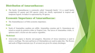 Distribution of Amaranthaceae:
 The family Amaranthaceae is commonly called ‘Amaranth family’. It is a small family
comprising 65 genera and 850 species which are chiefly represented in tropical and
temperate regions. In India it is represented by 50 species.
Economic Importance of Amaranthaceae:
 The Amaranthaceae is of little economic importance.
Food:
 Seeds of Amaranthus caudatus are edible. Amaranthus cruentus and A. frumentacea are
raised as cereals by primitive tribes in Tropical Asia. The leaves of Amaranthus viridis, A.
spinosus and A. tricolor are also used as vegetables.
Medicinal:
 Achyranthes aspera is diuretic and purgative. Decoction of Aerua tomentosa is used to
remove swellings. The stem and leaves of Alternanthera are used in snake-bite. The flowers
and seeds of Digera muricata (syn. D. arvensis) are given for urinary discharges.
 