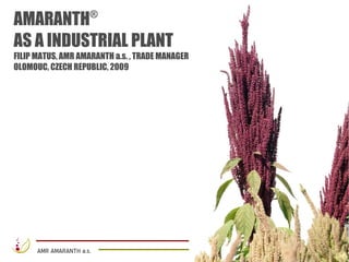 AMARANTH              ®

AS A INDUSTRIAL PLANT
FILIP MATUS, AMR AMARANTH a.s. , TRADE MANAGER
OLOMOUC, CZECH REPUBLIC, 2009




      AMR AMARANTH a.s.
 