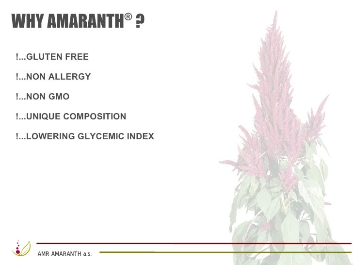 Bohemia energy olomouc
