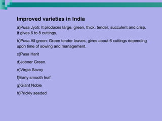 Improved varieties in India
a)Pusa Jyoti: It produces large, green, thick, tender, succulent and crisp.
It gives 6 to 8 cuttings.
b)Pusa All green: Green tender leaves, gives about 6 cuttings depending
upon time of sowing and management.
c)Pusa Harit
d)Jobner Green.
e)Virgia Savoy
f)Early smooth leaf
g)Giant Noble
h)Prickly seeded
 