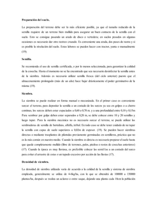 Preparación del suelo.
La preparación del terreno debe ser lo más eficiente posible, ya que el tamaño reducido de la
semilla requiere de un terreno bien mullido para asegurar un buen contacto de la semilla con el
suelo. Esto se consigue pasando un arado de disco o vertedera; en suelos pesados en algunas
ocasiones es necesario dar otro rastreo cruzado. Es conveniente una arada, dos pases de rastra y si
es posible la nivelación del suelo. Estas labores se pueden hacer con tractor, yunta o manualmente
(19).
Semilla.
Se recomienda el uso de semilla certificada, o por lo menos seleccionada, para garantizar la calidad
de la cosecha. Hasta el momento no se ha encontrado que sea necesario desinfectar la semilla antes
de la siembra. Además es necesario utilizar semilla fresca (del ciclo anterior) puesto que el
almacenamiento prolongado (más de un año) hace bajar drásticamente el poder germinativo de la
misma (19).
Siembra.
La siembra se puede realizar en forma manual o mecanizada. En el primer caso es conveniente
surcar el terreno, para depositar la semilla a un costado de los surcos ya sea en golpes o a chorro
continuo, los surcos deben estar espaciados a 0,60 o 0,70 m. y a una profundidad entre 0,10 y 0,15m
Para sembrar por golpe deben estar separados a 0,20 m, se debe colocar entre 10 y 20 semillas y
luego tapar. Para la siembra mecánica no es necesario surcar el terreno, se puede utilizar las
sembradoras de semilla de hortalizas, alfalfa, trébol. En todo caso se debe tener cuidado de no tapar
la semilla con capas de suelo superiores a 0,02m de espesor. (19). Se pueden hacer siembras
directas o mediante trasplantes de plántulas previamente germinadas en semilleros, práctica que no
es la más común en nuestro medio. Cuando la siembra es directa es necesario preparar elsuelo hasta
que quede completamente mullido (libre de terrones, palos, piedras o restos de cosechas anteriores)
(17). Cuando la época es muy lluviosa, es preferible colocar las semi11as a un costado del surco
para evitar el arrastre de estas o un tapado excesivo por acción de las lluvias (17).
Densidad de siembra.
La densidad de siembra utilizada varía de acuerdo a la calidad de la semilla y sistema de siembra
empleada, generalmente se utiliza de 4-6kg/ha, con lo que se obtendrá de 100000 a 150000
plantas/ha, después se realiza un aclareo o entre saque, dejando una planta cada 10cm la población
 