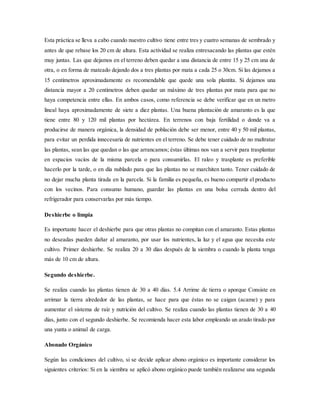 Esta práctica se lleva a cabo cuando nuestro cultivo tiene entre tres y cuatro semanas de sembrado y
antes de que rebase los 20 cm de altura. Esta actividad se realiza entresacando las plantas que estén
muy juntas. Las que dejamos en el terreno deben quedar a una distancia de entre 15 y 25 cm una de
otra, o en forma de mateado dejando dos a tres plantas por mata a cada 25 o 30cm. Si las dejamos a
15 centímetros aproximadamente es recomendable que quede una sola plantita. Si dejamos una
distancia mayor a 20 centímetros deben quedar un máximo de tres plantas por mata para que no
haya competencia entre ellas. En ambos casos, como referencia se debe verificar que en un metro
lineal haya aproximadamente de siete a diez plantas. Una buena plantación de amaranto es la que
tiene entre 80 y 120 mil plantas por hectárea. En terrenos con baja fertilidad o donde va a
producirse de manera orgánica, la densidad de población debe ser menor, entre 40 y 50 mil plantas,
para evitar un perdida innecesaria de nutrientes en el terreno. Se debe tener cuidado de no maltratar
las plantas, sean las que quedan o las que arrancamos; éstas últimas nos van a servir para trasplantar
en espacios vacíos de la misma parcela o para consumirlas. El raleo y trasplante es preferible
hacerlo por la tarde, o en día nublado para que las plantas no se marchiten tanto. Tener cuidado de
no dejar mucha planta tirada en la parcela. Si la familia es pequeña, es bueno compartir el producto
con los vecinos. Para consumo humano, guardar las plantas en una bolsa cerrada dentro del
refrigerador para conservarlas por más tiempo.
Deshierbe o limpia
Es importante hacer el deshierbe para que otras plantas no compitan con el amaranto. Estas plantas
no deseadas pueden dañar al amaranto, por usar los nutrientes, la luz y el agua que necesita este
cultivo. Primer deshierbe. Se realiza 20 a 30 días después de la siembra o cuando la planta tenga
más de 10 cm de altura.
Segundo deshierbe.
Se realiza cuando las plantas tienen de 30 a 40 días. 5.4 Arrime de tierra o aporque Consiste en
arrimar la tierra alrededor de las plantas, se hace para que éstas no se caigan (acame) y para
aumentar el sistema de raíz y nutrición del cultivo. Se realiza cuando las plantas tienen de 30 a 40
días, junto con el segundo deshierbe. Se recomienda hacer esta labor empleando un arado tirado por
una yunta o animal de carga.
Abonado Orgánico
Según las condiciones del cultivo, si se decide aplicar abono orgánico es importante considerar los
siguientes criterios: Si en la siembra se aplicó abono orgánico puede también realizarse una segunda
 