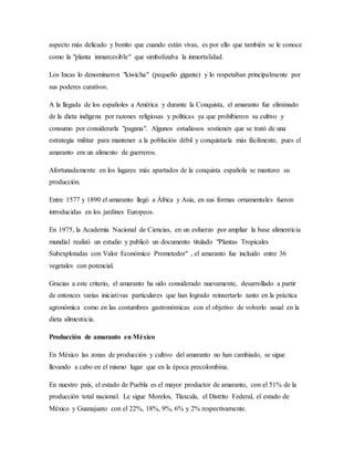 aspecto más delicado y bonito que cuando están vivas, es por ello que también se le conoce
como la "planta inmarcesible" que simbolizaba la inmortalidad.
Los Incas lo denominaron "kiwicha" (pequeño gigante) y lo respetaban principalmente por
sus poderes curativos.
A la llegada de los españoles a América y durante la Conquista, el amaranto fue eliminado
de la dieta indígena por razones religiosas y políticas ya que prohibieron su cultivo y
consumo por considerarla "pagana". Algunos estudiosos sostienen que se trató de una
estrategia militar para mantener a la población débil y conquistarla más fácilmente, pues el
amaranto era un alimento de guerreros.
Afortunadamente en los lugares más apartados de la conquista española se mantuvo su
producción.
Entre 1577 y 1890 el amaranto llegó a África y Asia, en sus formas ornamentales fueron
introducidas en los jardines Europeos.
En 1975, la Academia Nacional de Ciencias, en un esfuerzo por ampliar la base alimenticia
mundial realizó un estudio y publicó un documento titulado "Plantas Tropicales
Subexplotadas con Valor Económico Prometedor" , el amaranto fue incluido entre 36
vegetales con potencial.
Gracias a este criterio, el amaranto ha sido considerado nuevamente, desarrollado a partir
de entonces varias iniciativas particulares que han logrado reinsertarlo tanto en la práctica
agronómica como en las costumbres gastronómicas con el objetivo de volverlo usual en la
dieta alimenticia.
Producción de amaranto en México
En México las zonas de producción y cultivo del amaranto no han cambiado, se sigue
llevando a cabo en el mismo lugar que en la época precolombina.
En nuestro país, el estado de Puebla es el mayor productor de amaranto, con el 51% de la
producción total nacional. Le sigue Morelos, Tlaxcala, el Distrito Federal, el estado de
México y Guanajuato con el 22%, 18%, 9%, 6% y 2% respectivamente.
 