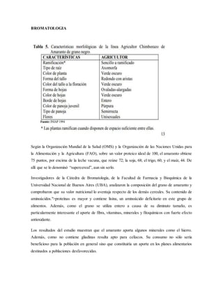 BROMATOLOGIA
Según la Organización Mundial de la Salud (OMS) y la Organización de las Naciones Unidas para
la Alimentación y la Agricultura (FAO), sobre un valor proteico ideal de 100, el amaranto obtiene
75 puntos, por encima de la leche vacuna, que reúne 72; la soja, 68; el trigo, 60; y el maíz, 44. De
allí que se lo denominó “supercereal”, aun sin serlo.
Investigadores de la Cátedra de Bromatología, de la Facultad de Farmacia y Bioquímica de la
Universidad Nacional de Buenos Aires (UBA), analizaron la composición del grano de amaranto y
comprobaron que su valor nutricional lo aventaja respecto de los demás cereales. Su contenido de
aminoácidos.">proteínas es mayor y contiene lisina, un aminoácido deficitario en este grupo de
alimentos. Además, como el grano se utiliza entero a causa de su diminuto tamaño, es
particularmente interesante el aporte de fibra, vitaminas, minerales y fitoquímicos con fuerte efecto
antioxidante.
Los resultados del estudio muestran que el amaranto aporta algunos minerales como el hierro.
Además, como no contiene gliadinas resulta apto para celíacos. Su consumo no sólo sería
beneficioso para la población en general sino que constituiría un aporte en los planes alimentarios
destinados a poblaciones desfavorecidas.
 