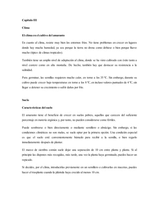 Capitulo III
Clima
El clima en el cultivo del amaranto
En cuanto al clima, resiste muy bien los entornos fríos. No tiene problemas en crecer en lugares
donde hay mucha humedad, ya sea porque la tierra no drena como debiese o bien porque llueve
mucho (típico de climas tropicales).
También tiene un amplio nivel de adaptación al clima, donde se ha visto cultivado con éxito tanto a
nivel costero como en alta montaña. De hecho, también hay que destacar su resistencia a la
salinidad.
Para germinar, las semillas requieren mucho calor, en torno a los 35 ºC. Sin embargo, durante su
cultivo puede crecer bajo temperaturas en torno a los 8 ºC, en incluso valores puntuales de 4 ºC, sin
llegar a detener su crecimiento o sufrir daños por frío.
Suelo
Características del suelo
El amaranto tiene el beneficio de crecer en suelos pobres, aquellos que carecen del suficiente
porcentaje en materia orgánica y, por tanto, no pueden considerarse como fértiles.
Puede sembrarse o bien directamente o mediante semillero o almácigo. Sin embargo, si las
condiciones climáticas no son malas, se suele optar por la primera opción. Una condición especial
es que el suelo esté convenientemente húmedo para recibir a la semilla, o bien regarlo
inmediatamente después de plantar.
El marco de siembra común suele dejar una separación de 10 cm entre planta y planta. Si al
principio las dispones más recogidas, más tarde, una vez la planta haya germinado, puedes hacer un
repicado.
Si decides, por el clima, introducirlas previamente en un semillero o cultivarlas en macetas, puedes
hacer el trasplante cuando la plántula haya crecido al menos 10 cm.
 
