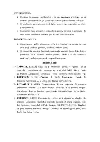CONCLUSIONES:
 El cultivo de amaranto en el Ecuador es de gran importancia económica por su
demanda para exportación, ya que es muy valorado por sus diversas cualidades.
 Es un alimento que se compara con la leche, ya que es rico en proteínas, en calcio
y otros minerales.
 El amaranto puede consumirse casi desde la siembra, en forma de germinado, de
hojas tiernas en ensalada o molidas para servirse en forma de sopa.
RECOMENDACIONES:
 Recomendamos incluir el amaranto en la dieta cotidiana en combinación con
maíz, frijol, calabaza, garbanzo, cacahuate, verduras y miel.
 Se recomienda una dieta balanceada conteniendo amaranto dentro de los límites
permisibles de la economía familiar popular, debido a su alto contenido
nutricional y su bajo costo para la compra del este grano.
BIBLIOGRAFÍA
 ANDRADE, P. (2006). Efecto de la fertilización química y orgánica en el
desarrollo y rendimiento del amaranto, de la variedad INIAP Alegría. Tesis
de Ingeniero Agropecuario. Universidad Técnica del Norte. Ibarra-Ecuador. 77 p.
 BARRAGÁN, R. (2005). Principios de Diseño Experimental. Escuela de
Ingeniería Agropecuaria de la Universidad Técnica del Norte. 67 p.
 BENAVIDES, C. (1996). Comportamiento de seis variedades de amaranto
(Amaranthus caudatus L.) a través de cinco localidades de la provincia Mizque-
Cochabamba. Tesis de Ingeniero Agropecuario. UniversidadMayor de San Simón.
Cochabamba-Bolivia. 81 p.
 CÁRDENAS, L.(1991). Caracterización y efecto de la densidad en el cultivo de
amaranto (Amaranthus cruentusL.), manejado mediante el sistema orgánico. Tesis
Ing. Agrónomo. Universidad de Chile, Santiago, Chile.ESPITIA,R.(1994). Breeding
of grain amaranth,Amaranth. Biology, Chemistry and Technology.crc Press, Boca
Ratón. Ann Arbor. Londres.
 