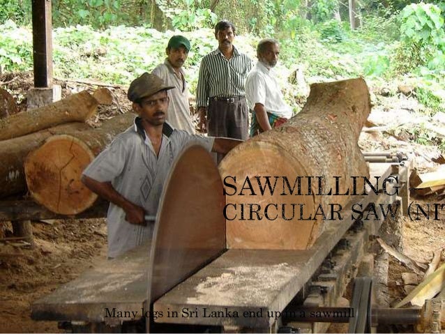 Upgrading Wood Based Industries in Sri Lanka with special reference t…