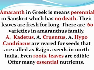 Amaranth in Greek is means perennial
in Sanskrit which has no death. Their
leaves are fresh for long. There are 60
varieties in amaranthus family.
A. Kadetus, A. Cruentus, A. Hypo
Candriacus are reared for seeds that
are called as Rajgira seeds in north
India. Even roots, leaves are edible
Offer many essential nutrients.
 