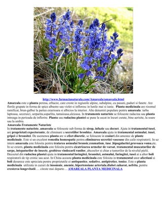 http://www.farmacianaturala.com/Amareala/amareala.html
Amareala este o planta perena, erbacee, care creste in regiunile alpine, subalpine, cu pasuni, paduri si fanete. Are
florile grupate in forma de spice albastre sau violet si infloresc in lunile mai si iunie. Planta medicinala are rizomul
ramificat, brun-galbui la partea exterioara si albicios la interior. Alte denumiri populare pentru amareala: iarba
laptoasa, seceruici, serparita,soparlita, tamaioasa,uleioasa. In tratamente naturiste se foloseste radacina sau planta
intreaga in perioada de inflorire. Planta sau radacina plantei se pune la uscat in locuri curate, bine aerisite, la soare
sau la umbra.
Amareala-Tratamente Naturiste
In tratamente naturiste, amareala se foloseste sub forma de sirop, infuzie sau decoct. Ajuta in tratamentul tusei,
are proprietati expectorante, de eliminare a secretiilor bronhice. Amareala ajuta in tratamentul astmului, tusei,
gripei si bronsitei. De asemenea planta are si efect diuretic, se foloseste in ceaiuri din amestec de plante
medicinale. Este si un excelent remediu homeopatic pentru eliminarea secretiei vascoase din caile respiratorii. In uz
intern amareala este folosita pentru tratarea astmului bronsic,reumatism, tuse ,hipogalactiei,provoaca voma,etc.
In uz extern, planta medicinala este folosita pentru cicatrizarea urmelor de varsat, tratamentul muscaturilor de
sarpe, intepaturilor de insecte, grabirea vindecarii ranilor, abceselor si chiar a tumorilor de la nivelul pielii.
Decoctul din radacina plantei ajuta in tratamentul laringitei, bronsitei, astmului, faringitei, tusei ai a altor boli
respiratorii de tip cronic sau acut. In China aceasta planta medicinala este folosita in tratamentul unor afectiuni si
boli deoarece este apreciata pentru proprietatile ei antispastice, sedative, antipiretice, tonice. Este o planta
medicinala utilizata in cazuri de insomnie, anemie, hipertensiune arteriala,diabet zaharat, nefrita, pentru
cresterea longevitatii…. citeste mai departe… AMAREALA PLANTA MEDICINALA
 