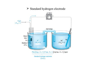  Standard hydrogen electrode
 
