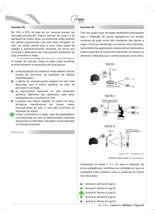 2010
CN - 1º dia | Caderno 2 - AMARELO - Página 28
Questão 89
Planeta
economicamente os produtores de cana porque
Rascunho
Questão 90
Três dos quatro ti
SC
 