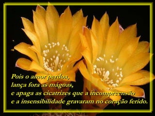 Pois o amor perdoa,
lança fora as mágoas,
e apaga as cicatrizes que a incompreensão
e a insensibilidade gravaram no coração ferido.
 
