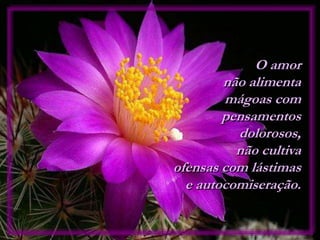 O amor
não alimenta
mágoas com
pensamentos
dolorosos,
não cultiva
ofensas com lástimas
e autocomiseração.
 