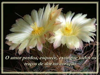 O amor perdoa, esquece, extingue todos os
traços de dor no coração.
 