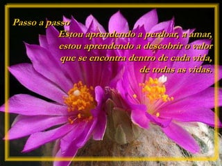 Passo a passo
Estou aprendendo a perdoar, a amar,
estou aprendendo a descobrir o valor
que se encontra dentro de cada vida,
de todas as vidas.
 