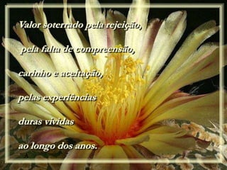 A
Valor soterrado pela rejeição,
pela falta de compreensão,
carinho e aceitação,
pelas experiências
duras vividas
ao longo dos anos.
 