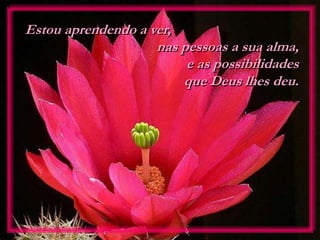 Estou aprendendo a ver,
nas pessoas a sua alma,
e as possibilidades
que Deus lhes deu.
 