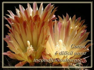 Como,
é difícil amar
incondicionalmente…
 