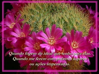 Quando fogem do ideal que tenho para elas.
Quando me ferem com palavras ásperas
ou ações impensadas.
 