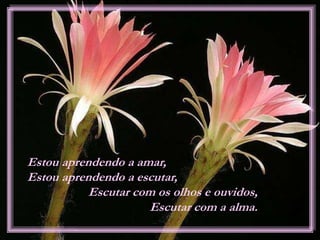 Estou aprendendo a amar,
Estou aprendendo a escutar,
Escutar com os olhos e ouvidos,
Escutar com a alma.
 