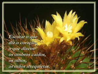 Escutar o que
diz o coração,
o que dizem
os ombros caídos,
os olhos,
as mãos irrequietas.
 