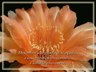 Descobrir a angústia disfarçada,
a insegurança mascarada,
a solidão encoberta.
 
