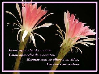 Estou aprendendo a amar,  Estou aprendendo a escutar,  Escutar com os olhos e ouvidos,  Escutar com a alma. 