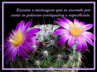 Escutar a mensagem que se esconde por entre as palavras corriqueiras e superficiais. 