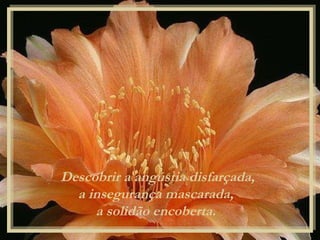 Descobrir a angústia disfarçada, a insegurança mascarada,  a solidão encoberta.  