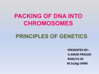 PACKING OF DNA INTO
CHROMOSOMES
PRINCIPLES OF GENETICS
PRESENTED BY:-
K.AMAR PRASAD
RAM/15-35
M.Sc(Ag) GPBR
 