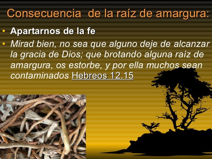 Amargura