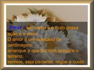 Amar é um verbo e o fruto dessa
ação é o amor.
O amor é um exercício de
Jardinagem:
arranque o que faz mal, prepare o
terreno,
semeie, seja paciente, regue e cuide.
 