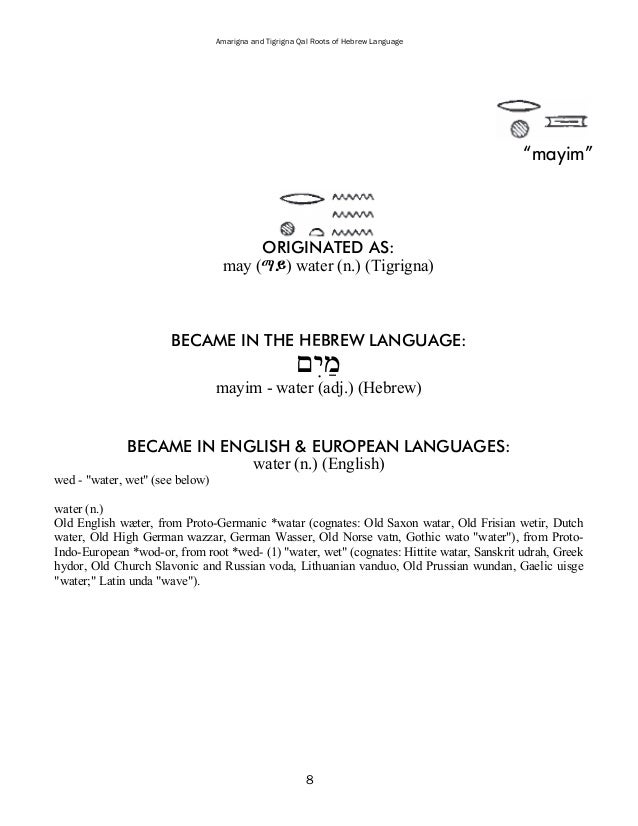 my healthy living essay in hindi