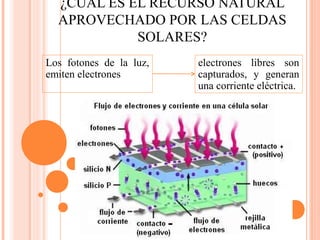 ¿CUÁL ES EL RECURSO NATURAL
APROVECHADO POR LAS CELDAS
SOLARES?
Los fotones de la luz,
emiten electrones
electrones libres son
capturados, y generan
una corriente eléctrica.
 