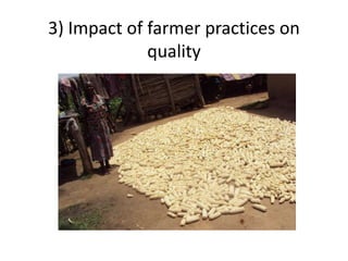 3) Impact of farmer practices on
             quality
 