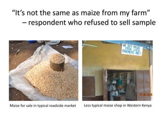 “It’s not the same as maize from my farm”
     – respondent who refused to sell sample




Maize for sale in typical roadside market   Less typical maize shop in Western Kenya
 