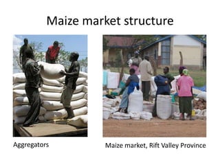 Maize market structure




Aggregators         Maize market, Rift Valley Province
 