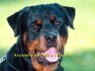Escutar o que diz o coração , 