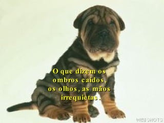 O que dizem os  ombros caídos,  os olhos, as mãos  irrequietas. 